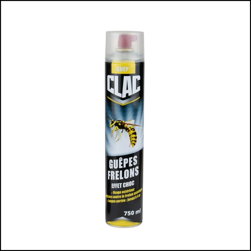 Spray Insecticide Guêpes et Frelons - Élimination Rapide et Sécurisée des Insectes Volants