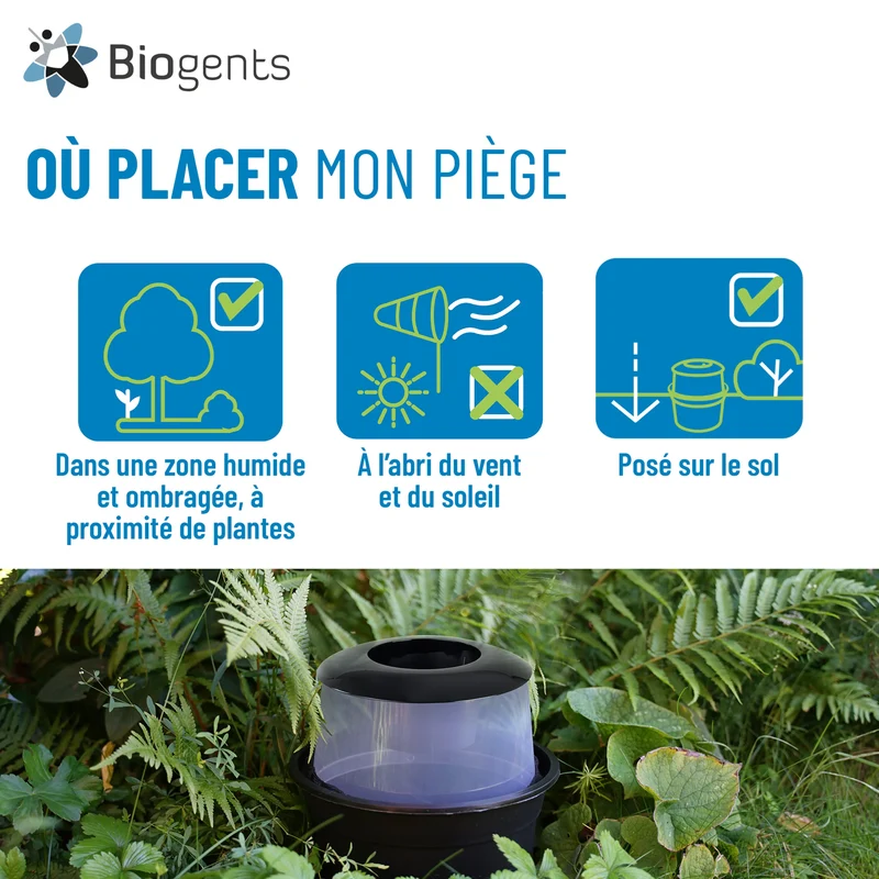 BG-GAT — Piège anti-ponte moustique tigre (lot de 2)