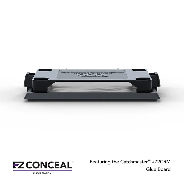 EZ Conceal - piège pour insectes