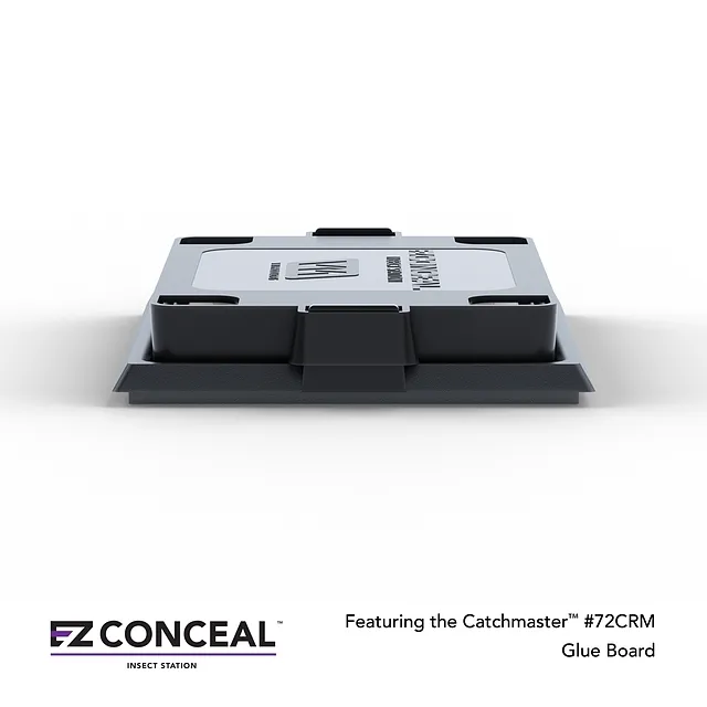 EZ Conceal - piège pour insectes