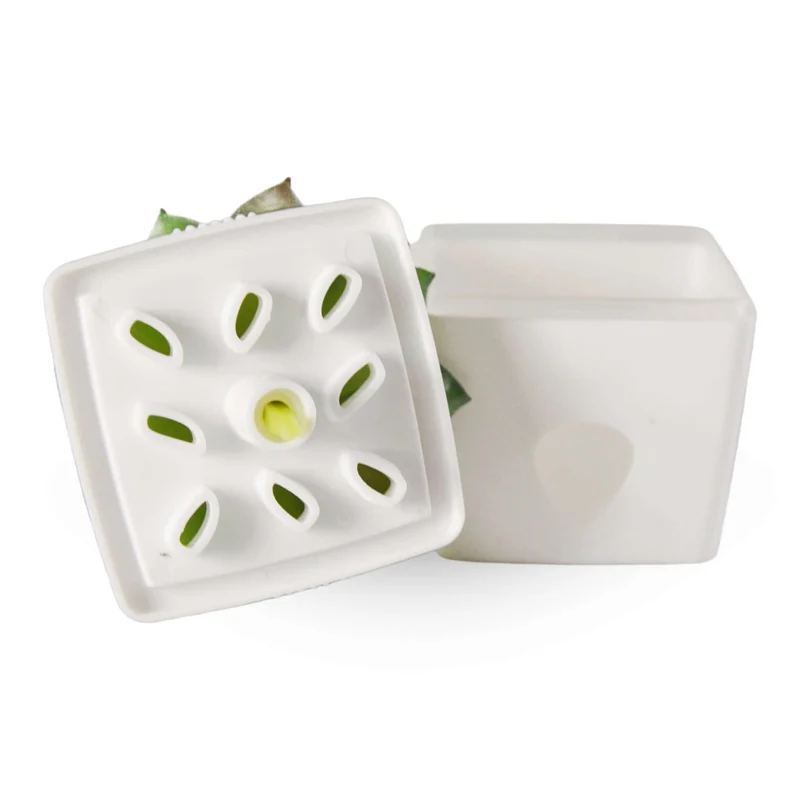 Ensemble Premium pour Mouches à Fruits