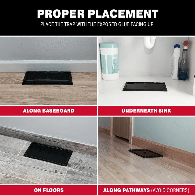 Catchmaster, Plateaux de colle pour les rats, trappe collante pour rat 48R (PK 2)