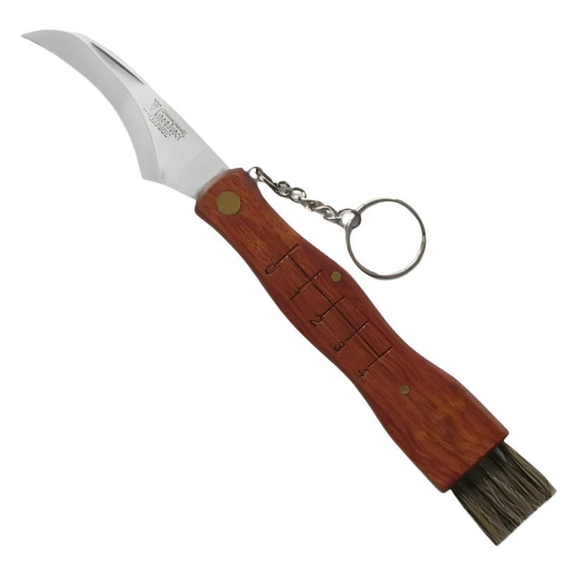 Coltello Cogli Funghi Professionale De Luca | Lama Acciaio Inox | Manico Legno Ergonomico