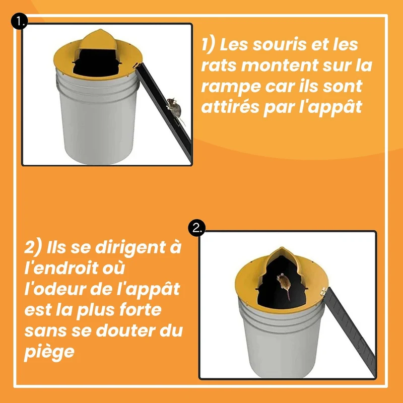 Piège à Rats, Mulots et Souris à Trappe intelligente