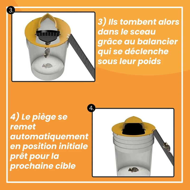Piège à Rats, Mulots et Souris à Trappe intelligente