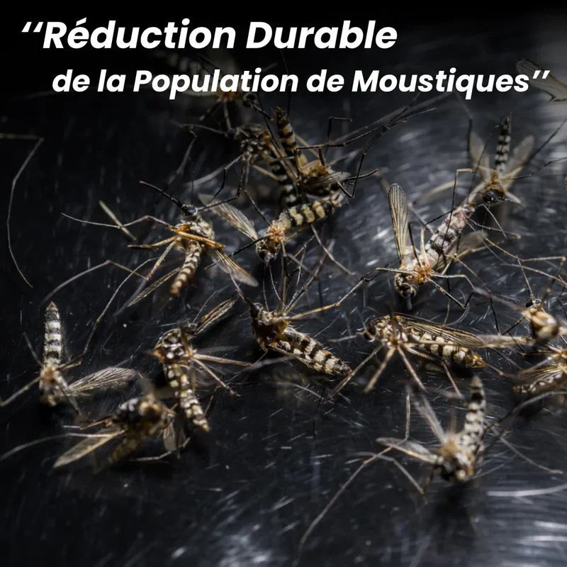 Lampe Anti-Moustiques Professionnelle – Puissance Extrême 150m² | Technologie d’Attraction CO₂ Naturelle