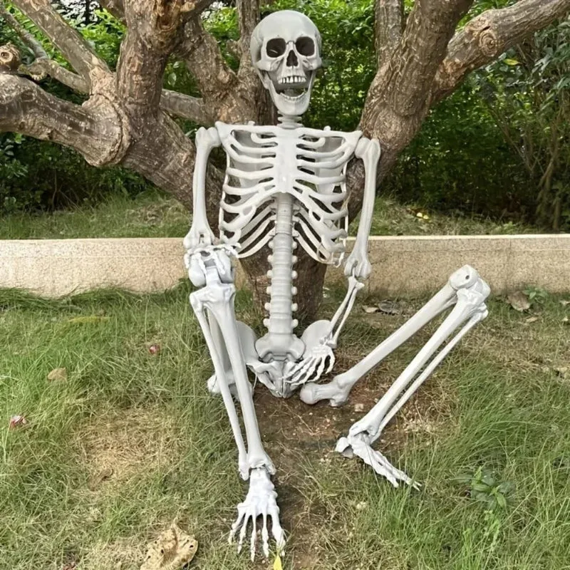Life-Size Halloween Decorative Skeleton with Movable Joints for Home