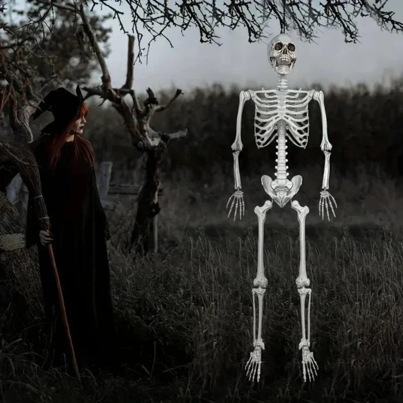 Life-Size Halloween Decorative Skeleton with Movable Joints for Home