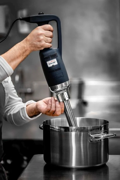 Mixeur plongeur professionnel 16 cm vitesse fixe ou variable
