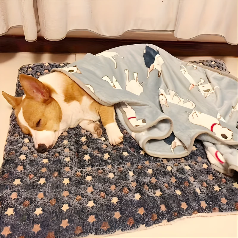 CozyPaw – Le Lit Apaisant et Douillet pour Chats