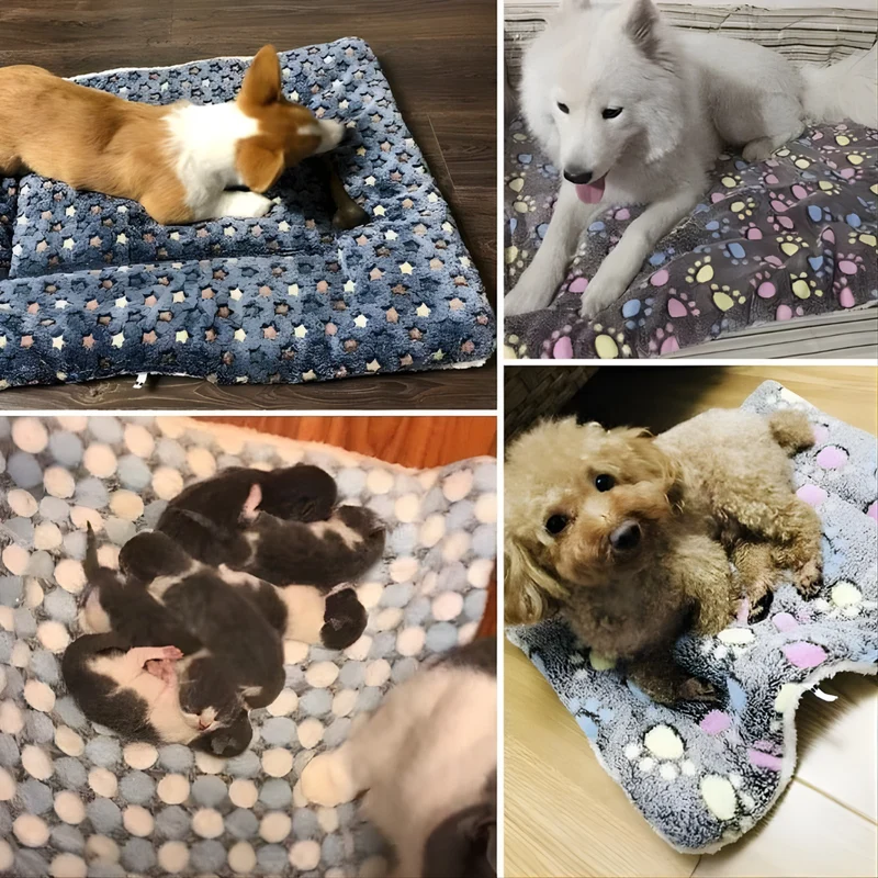 CozyPaw – Le Lit Apaisant et Douillet pour Chats
