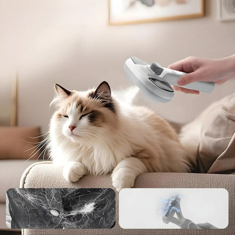 SteamPaw – Brosse Vapeur 3-en-1 pour un Toilettage Doux et Sain