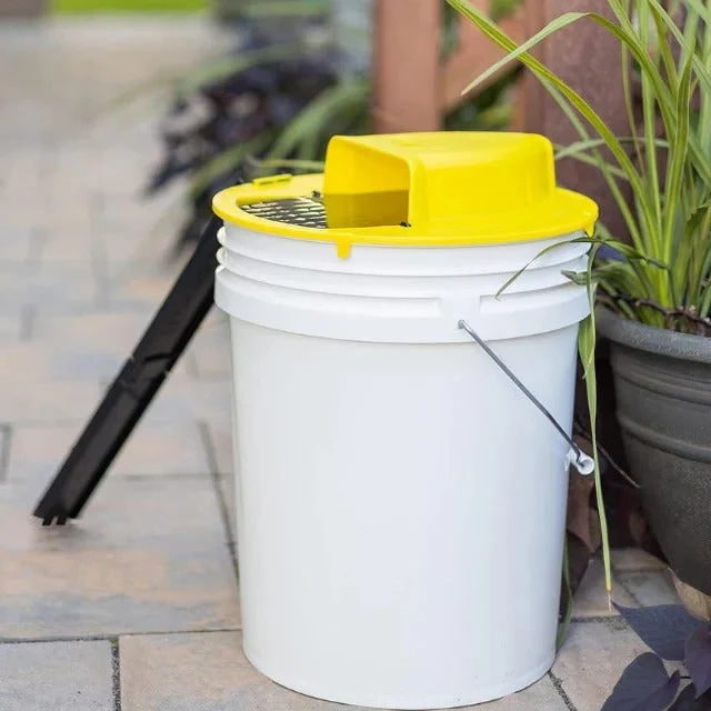 Humane Mouse Trap with Five Gallon Bucket and Automatic Ladder Ramp
