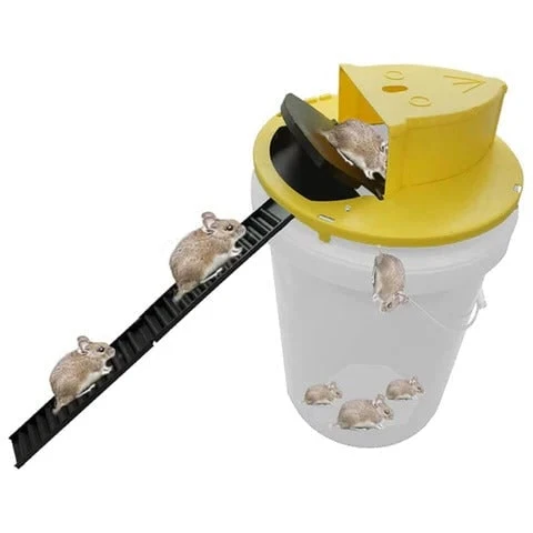 Humane Mouse Trap with Five Gallon Bucket and Automatic Ladder Ramp