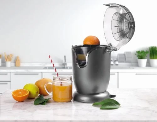 Presse fruit électrique inox
