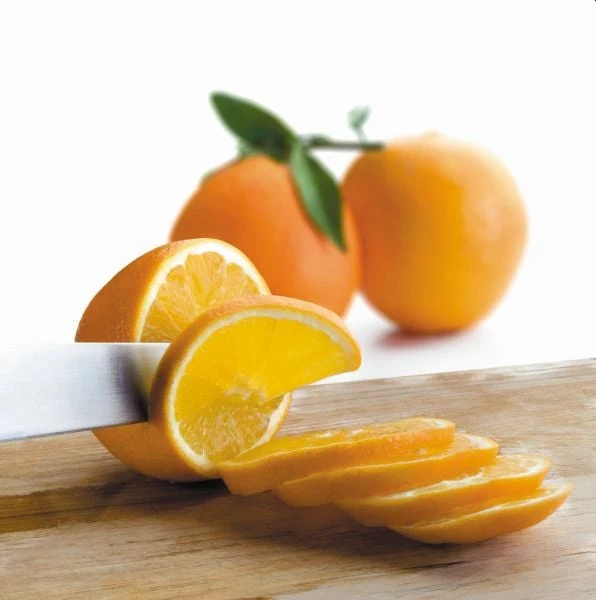 Déshydrateur de fruits et légumes