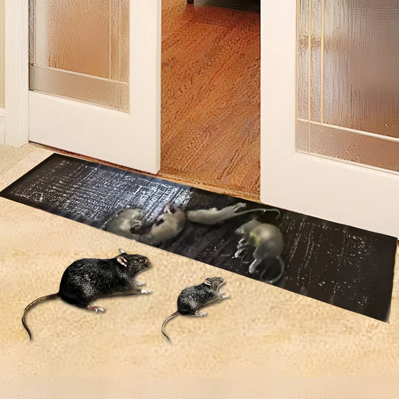 Sticky Pest Traps 10 Pieces for Indoor and Outdoor Use