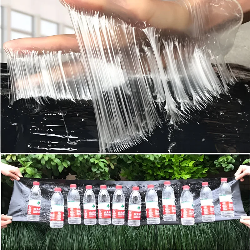 Sticky Pest Traps 10 Pieces for Indoor and Outdoor Use