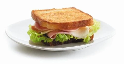 Appareil pour croque monsieur tranche carrée