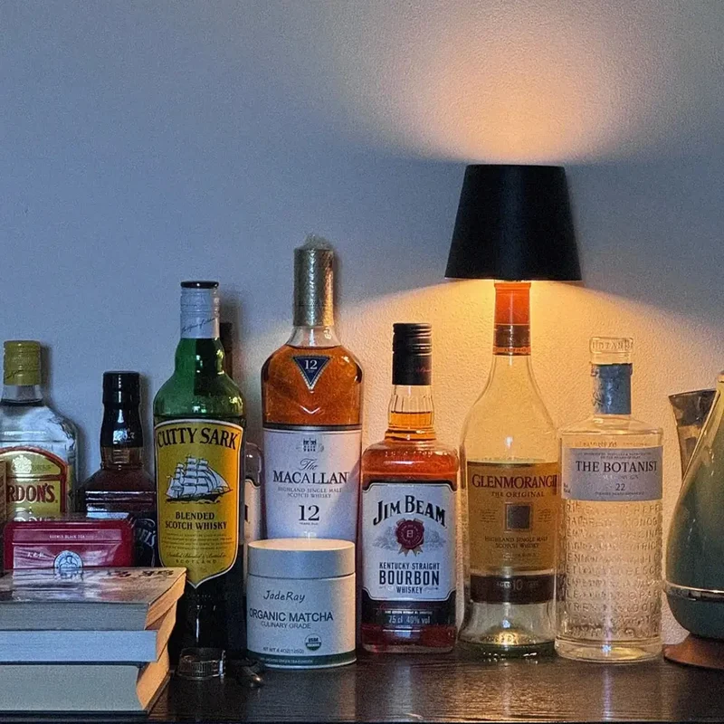 Decorative mood rechargeable LED bottle lamp