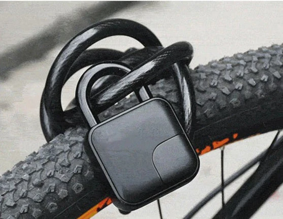 Cadenas Empreinte Digitale - Sécurité Sans Clé - IP65