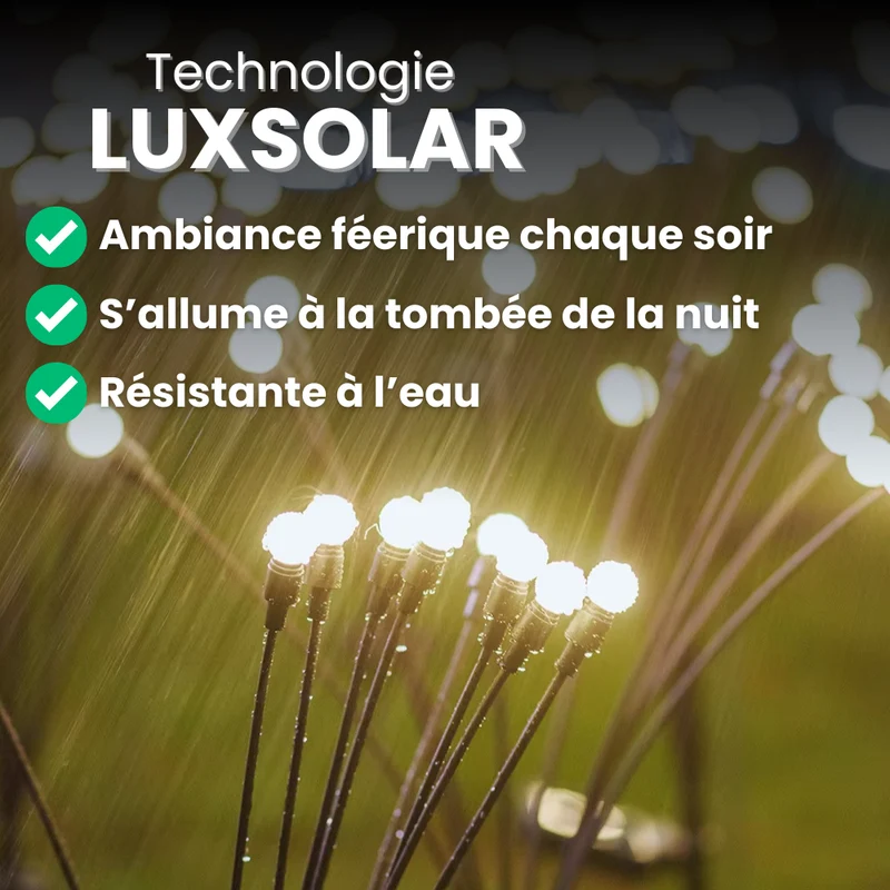 Lampes LED Lucioles à Énergie Solaire - Offre Spéciale
