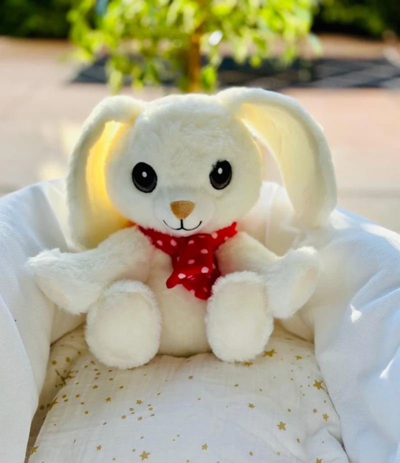 Bouillotte DÉHOUSSABLE LAPIN BLANC