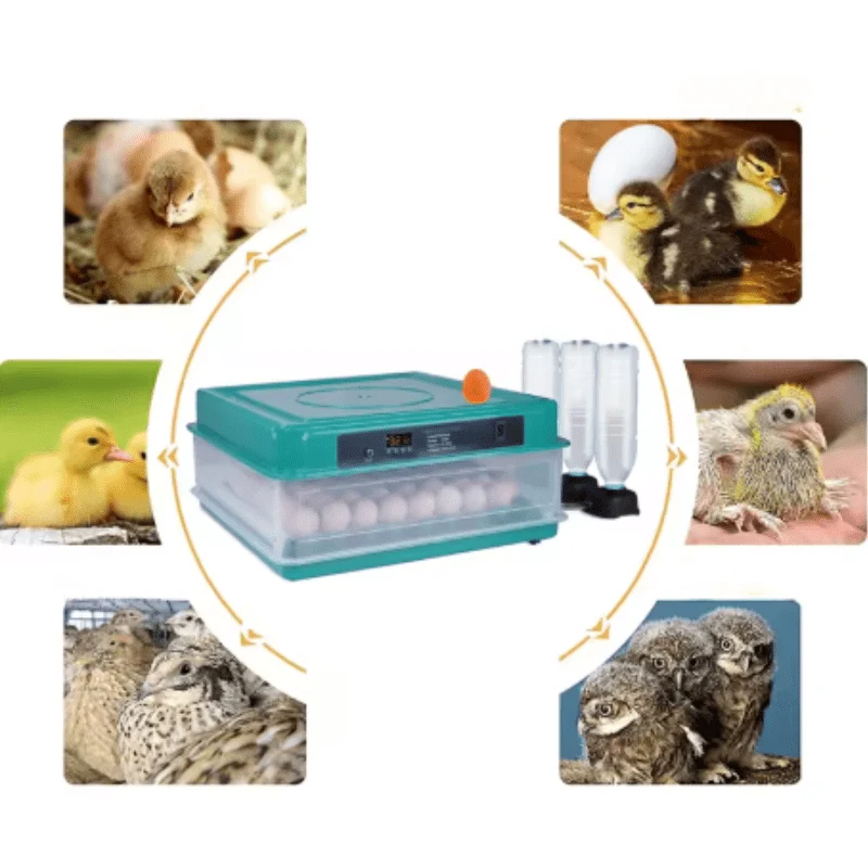 Incubateur à Œufs Automatique Professionnel Poulailler
