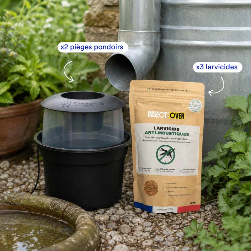 Pack Élimination À La Source Moustiques