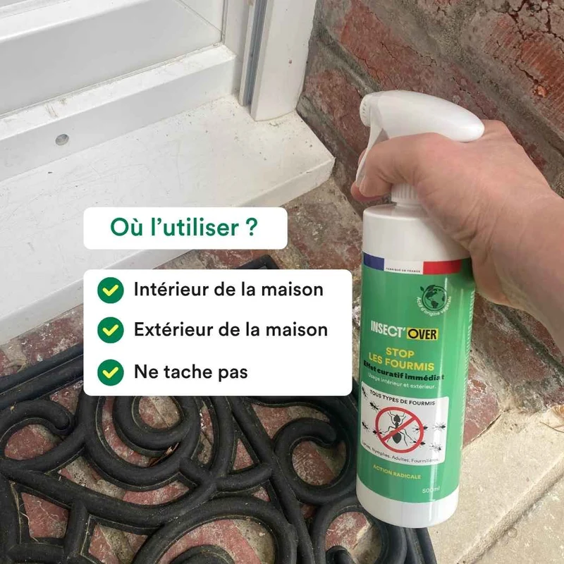 Pack « élimination à la source » (moustiques + fourmis)