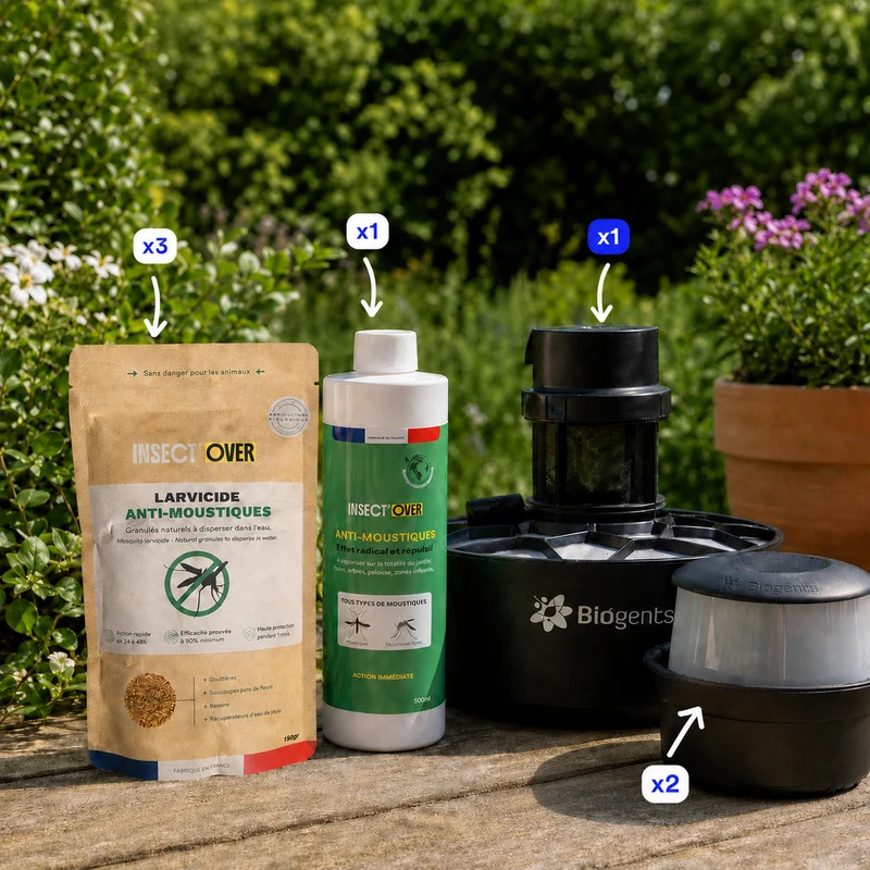 Un jardin sans moustiques