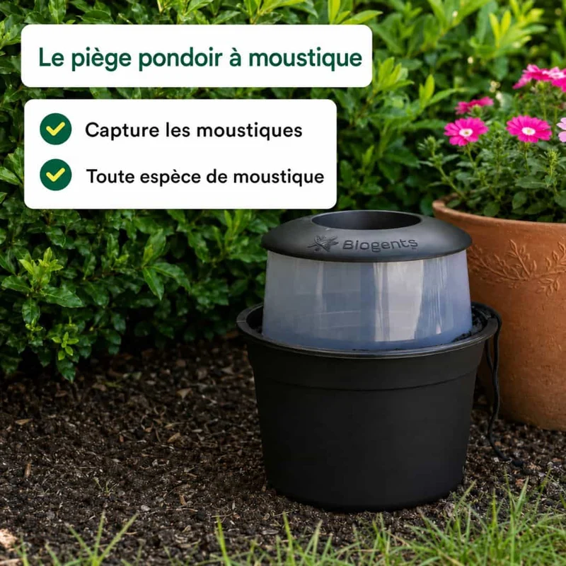 Un jardin sans moustiques