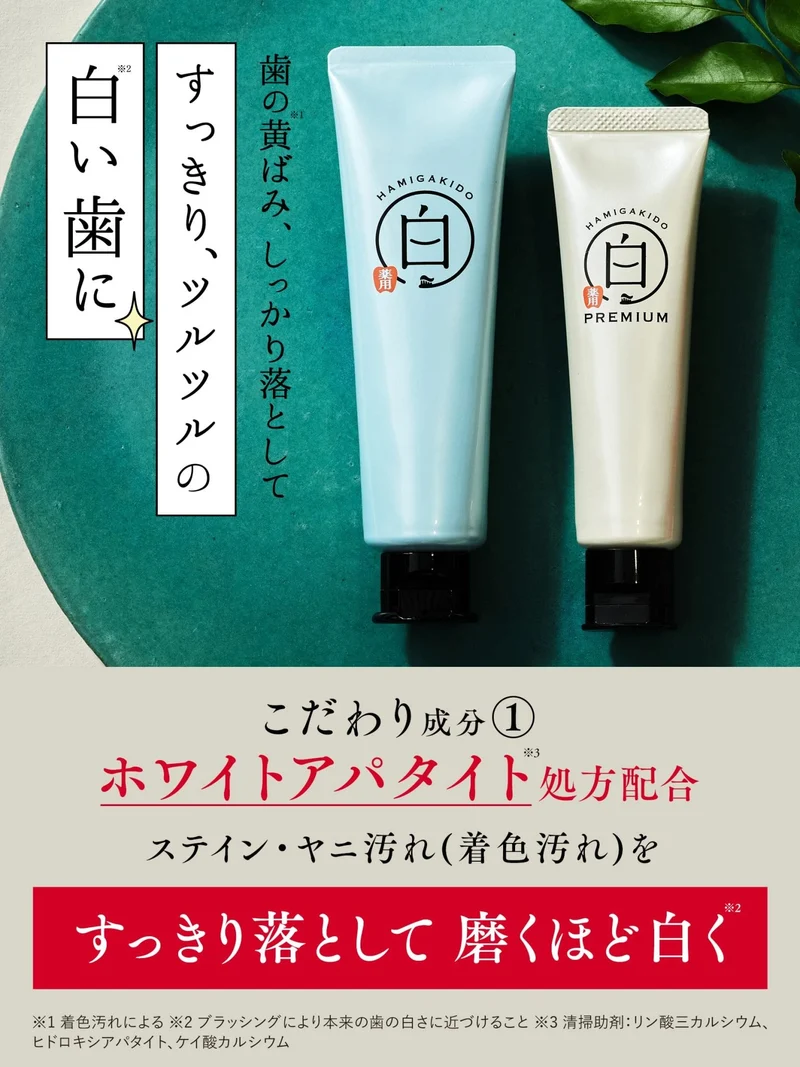 Hamigakido Premium Medicated Whitening Gum Care Toothpaste Fresh Mint 60g