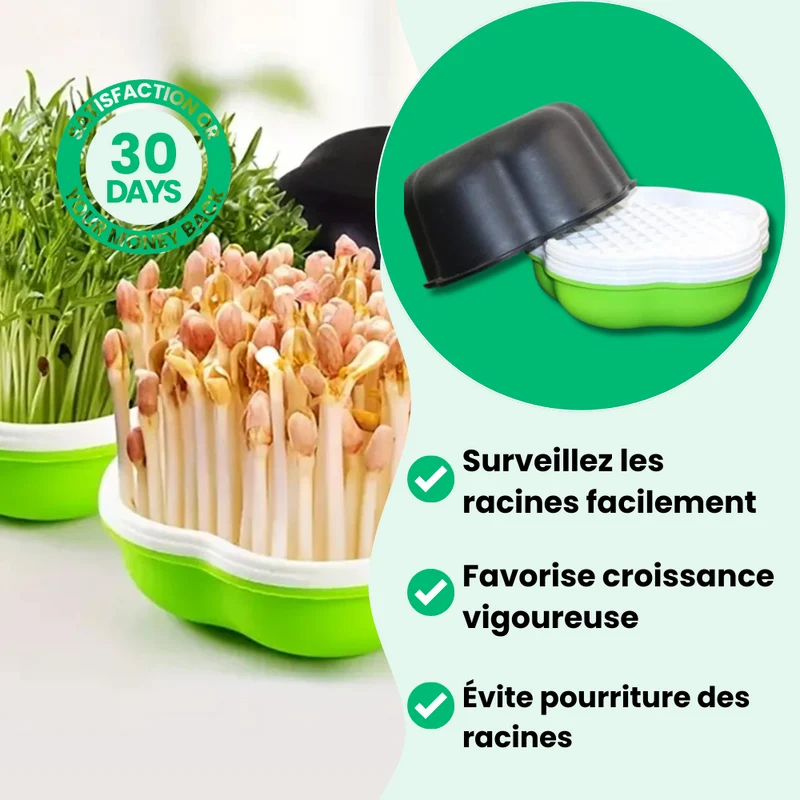 Plateau de Culture Hydroponique Maison Innovant