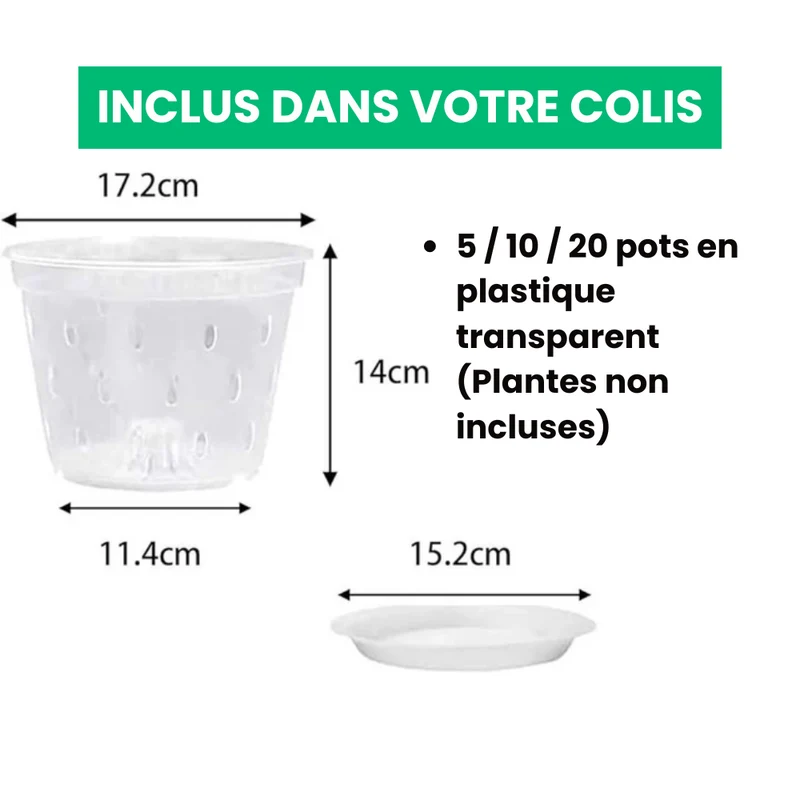 Pots de Culture Transparents Aérés Premium