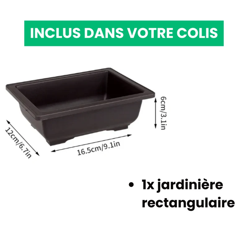 Jardinière Rectangulaire Élégante