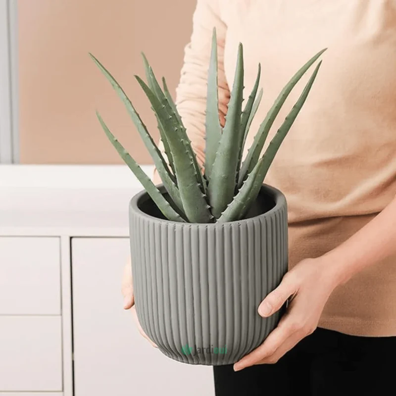 Pot de Fleur en Céramique Élégant
