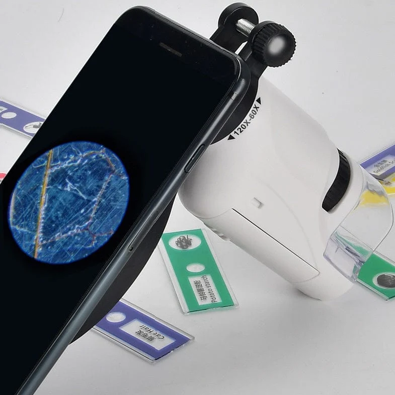 MicroKid™ - Microscope de Poche Puissant