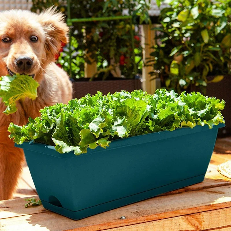 Jardinière en Plastique Classique