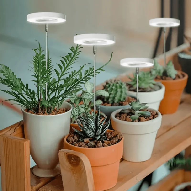 Lampe de Croissance LED d'Intérieur (Lot de 2+1 Offerte)