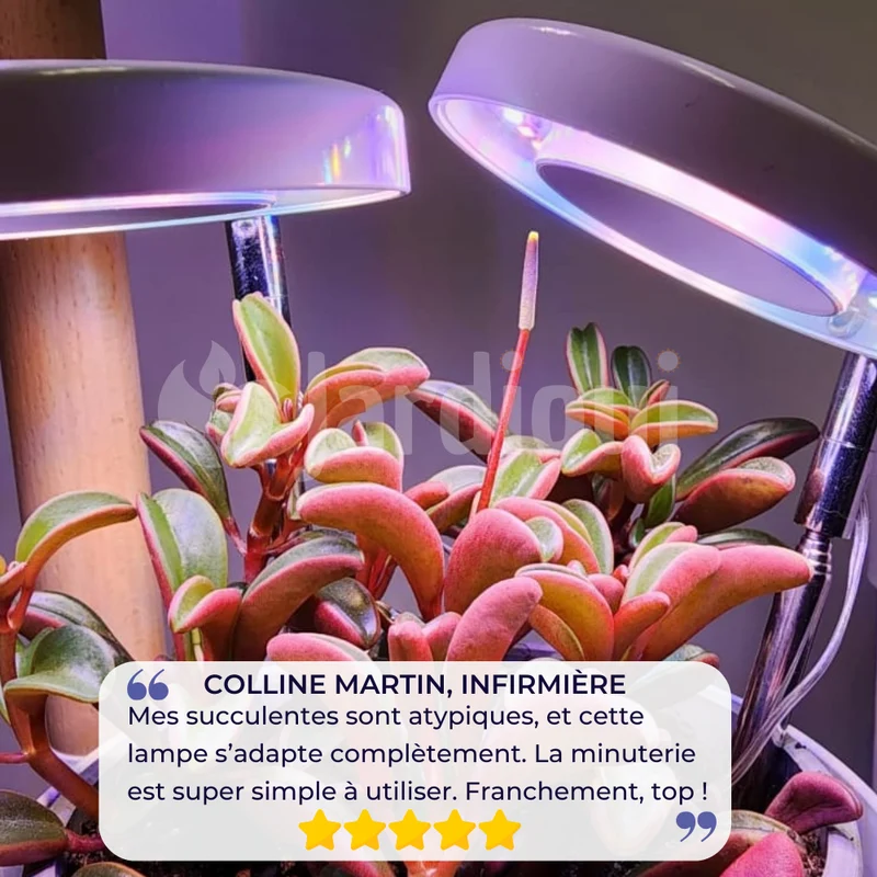 Lampe de Croissance LED d'Intérieur (Lot de 2+1 Offerte)