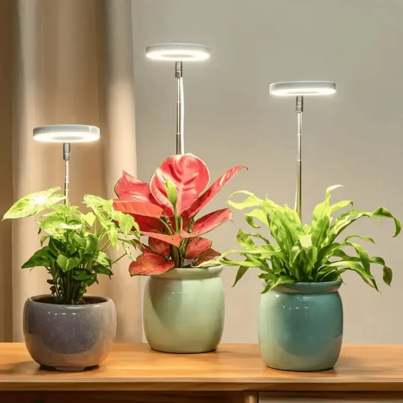 Lampe de Croissance LED d'Intérieur (Lot de 2+1 Offerte)
