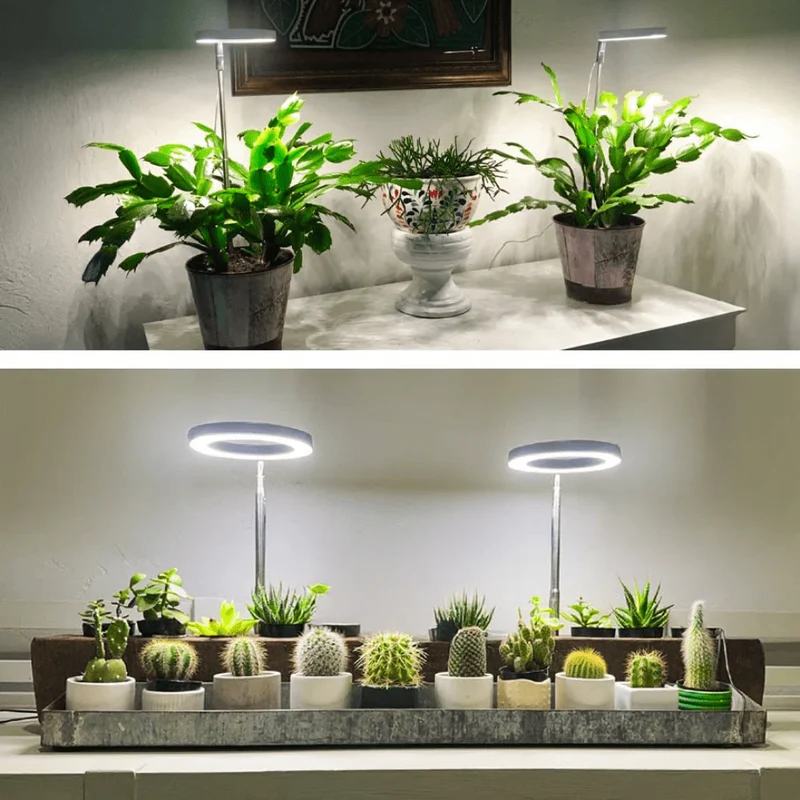 Lampe de Croissance LED d'Intérieur (Lot de 2+1 Offerte)