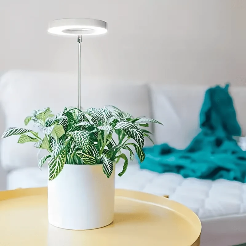 Lampe de Croissance LED d'Intérieur (Lot de 2+1 Offerte)