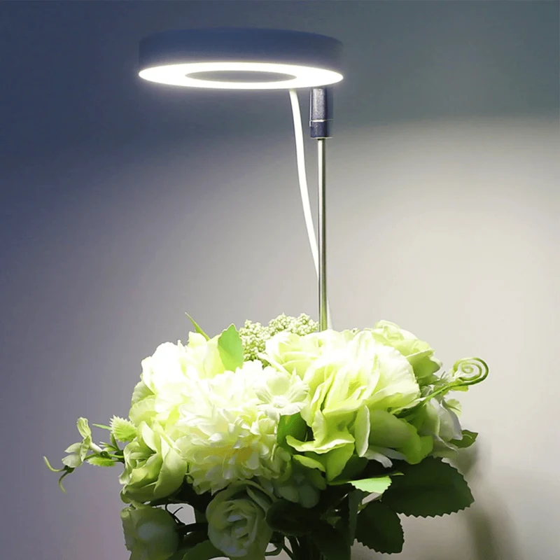 Lampe de Croissance LED d'Intérieur (Lot de 2+1 Offerte)