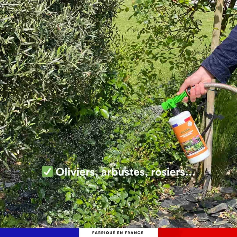 Engrais universel jardin à pulvériser (OTP)