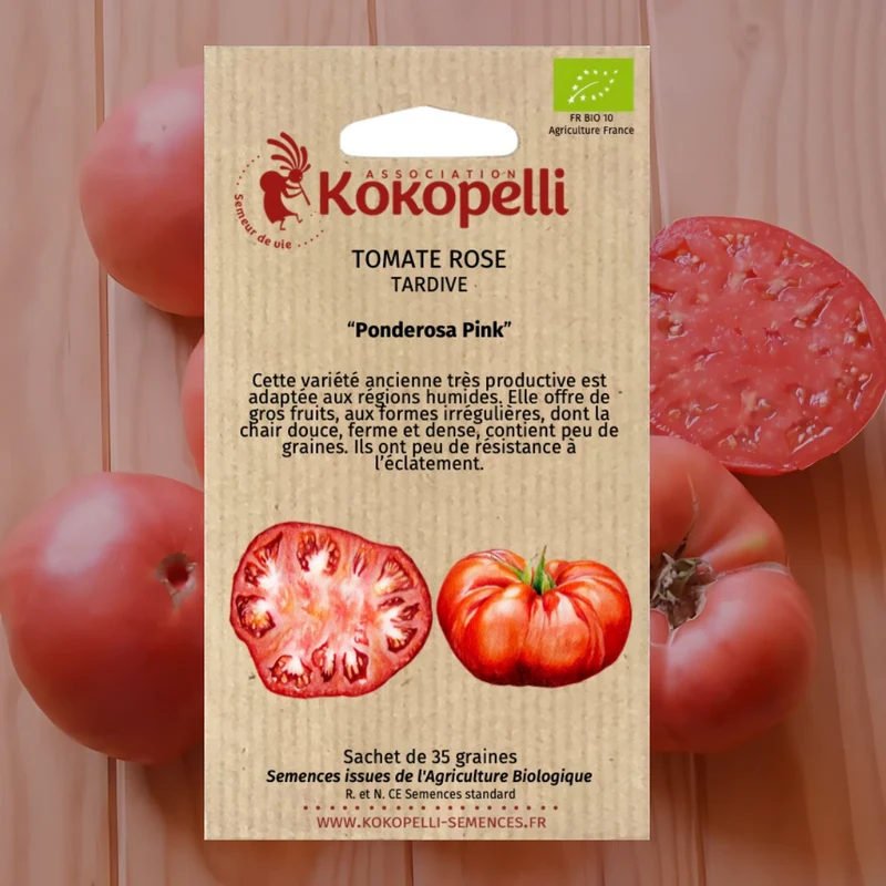 Tomate Rose Tardive Ponderosa Pink
