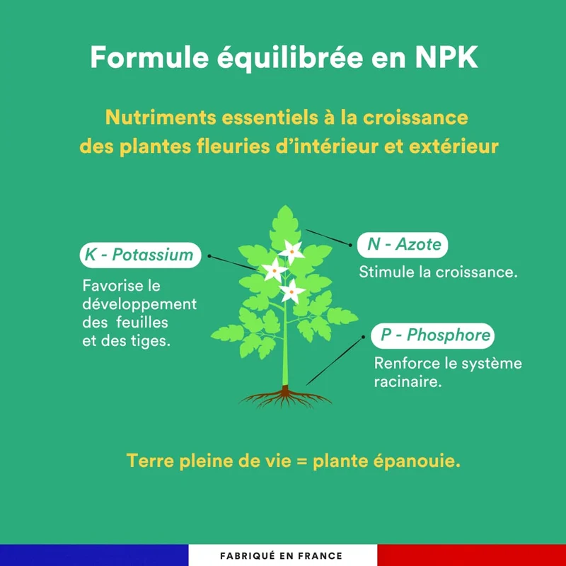 Engrais liquide plantes fleuries