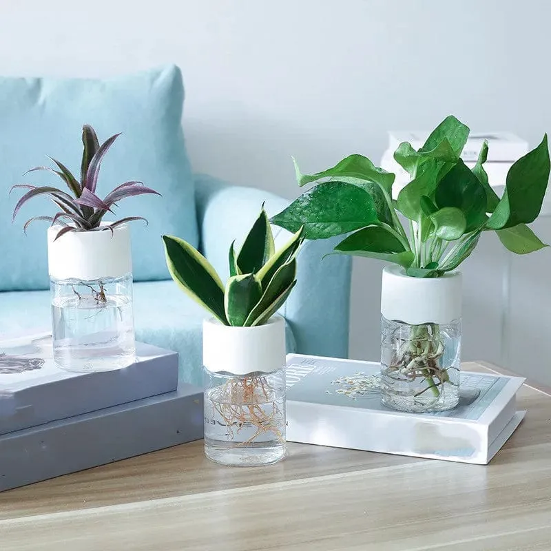 Vase en plastique hydroponique Minimalistes