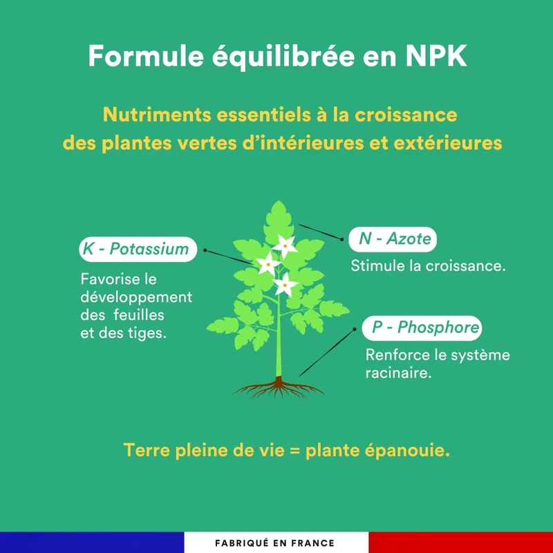 Engrais liquides plantes vertes